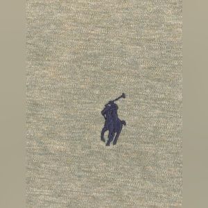 Ralph Lauren Pima Soft Touch Cotton Polo in Sage Green. (Size: XL)